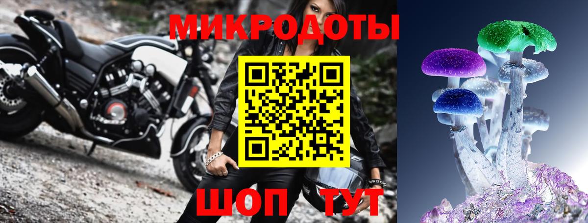 Ростов-на-Дону  Псилоцибиновые грибы Cubensis  Вход с VPN 